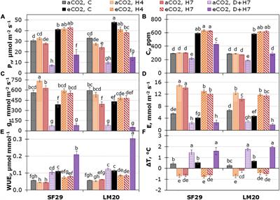 Elevated CO2 Improves the Physiology but Not the Final Yield in Spring Wheat Genotypes Subjected to Heat and Drought Stress During Anthesis